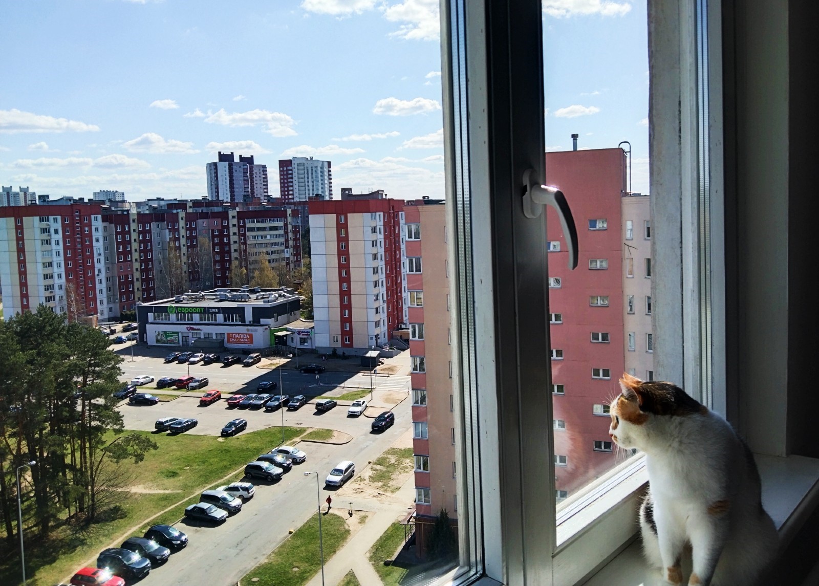 Мойка окон в Минске  и районе фото 