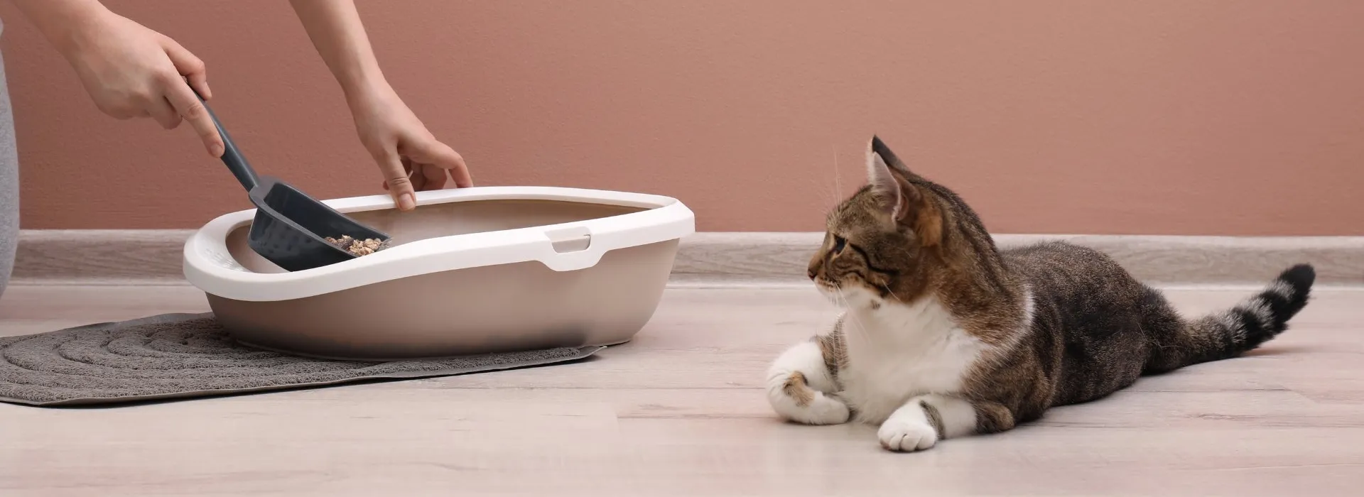 Убрать лоток